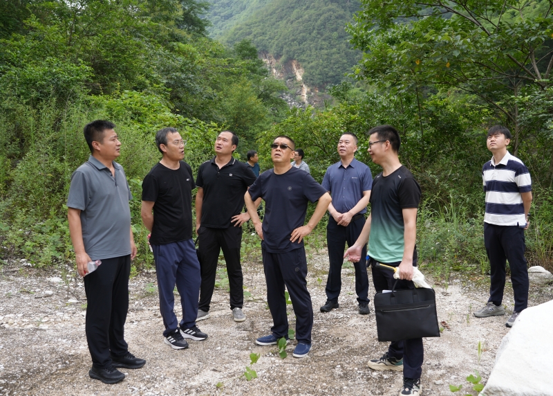 20250724/688207596bb6c.jpg 2.jpg